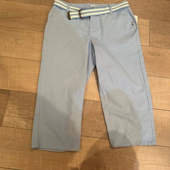 LIZ CLAIBORNE WOMENS BELTED CROPPED PANTS BLUE 12 PETITE AUDRA NEW - Picture 1 of 9